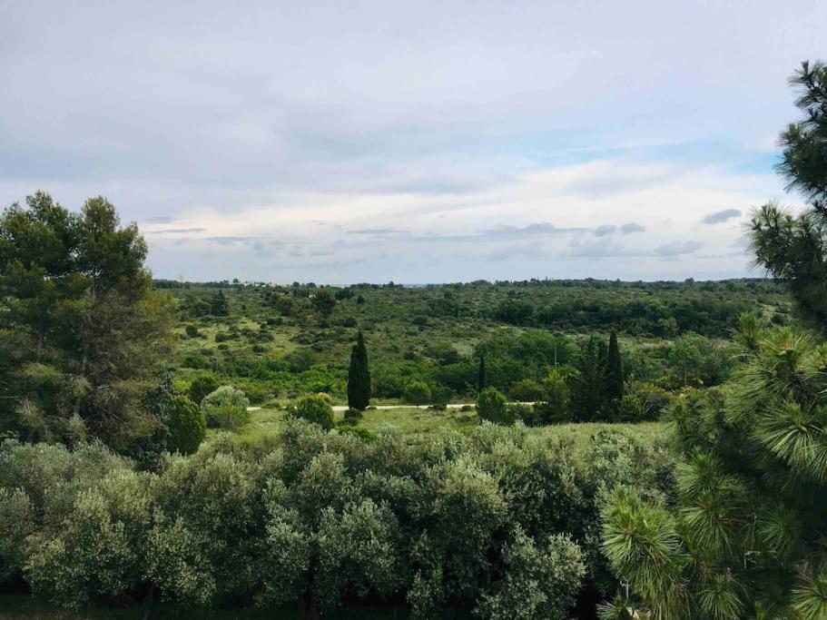 La Villa D 'Emma Juvignac Ngoại thất bức ảnh